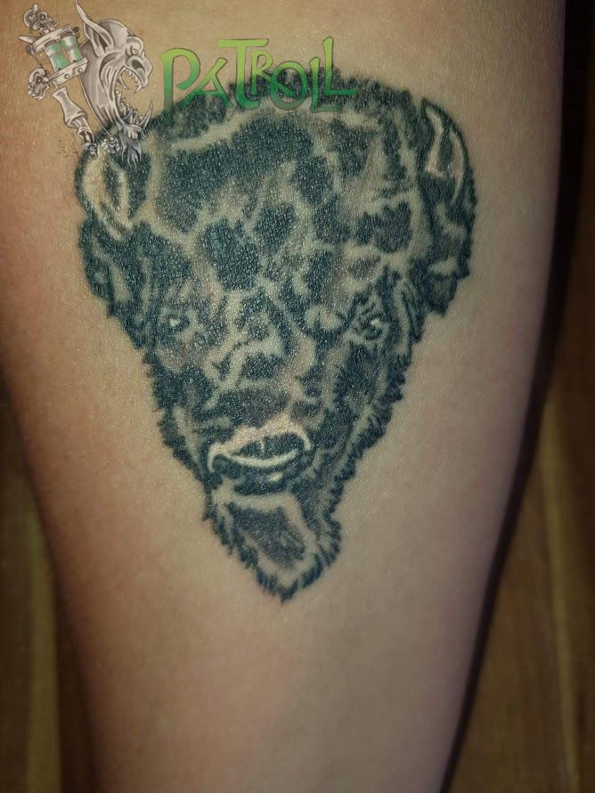 bison